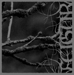 Feigur : II, Desolation